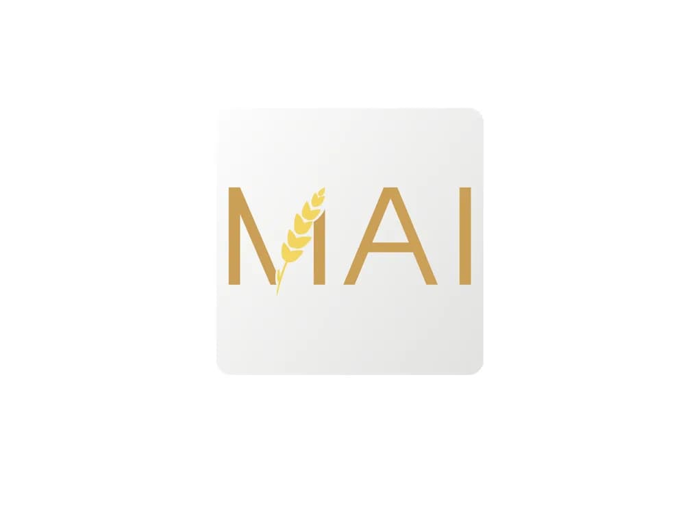 SIUI MAI — Мультимодальная система визуализации