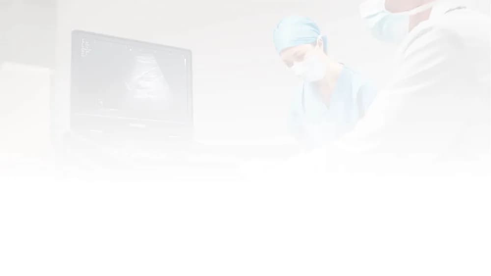 E10 — Portativ ultratovush tizimi